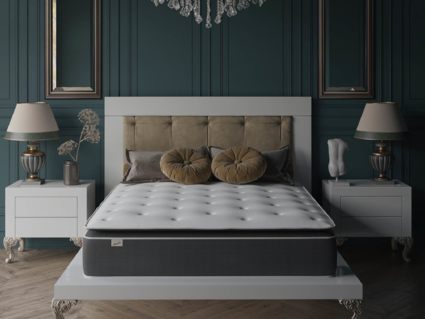 Матрас Evita SymBio Charm Medium 36